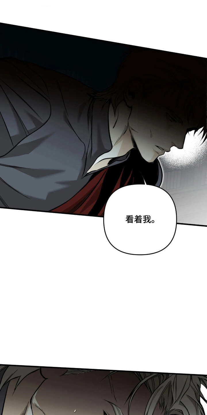 天平与剑漫画,第22章：联手合作1图