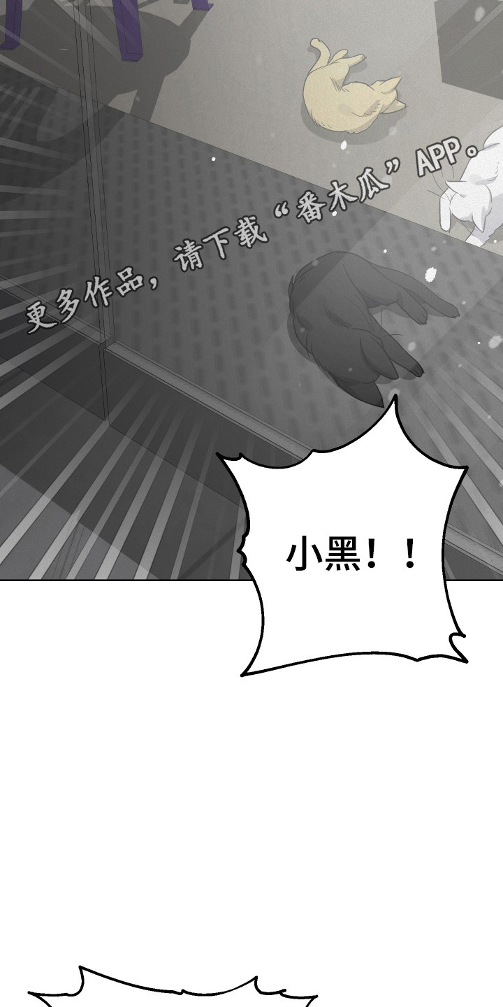捡来的深渊漫画,第28章：不祥气息5图