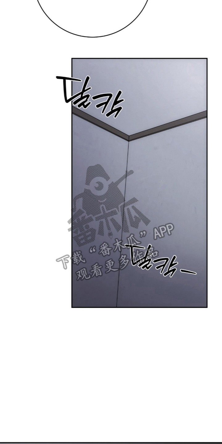 饲养家养动物漫画,第18章：遵守约定1图
