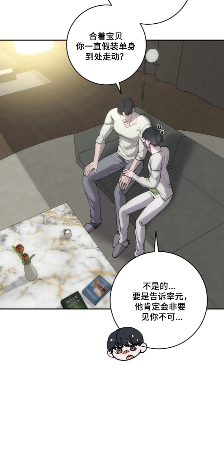 饲养我的宝贝女主形象漫画,第23章：发现谎言5图