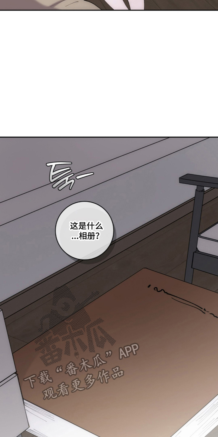 饲养家养动物漫画,第15章：珍贵相册5图