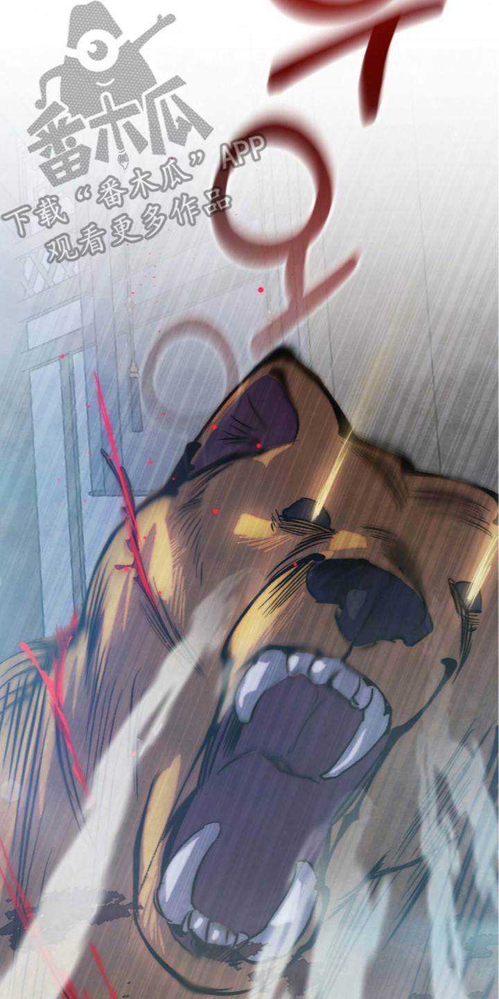 满月有什么仪式漫画,第21章：月闪剑4图
