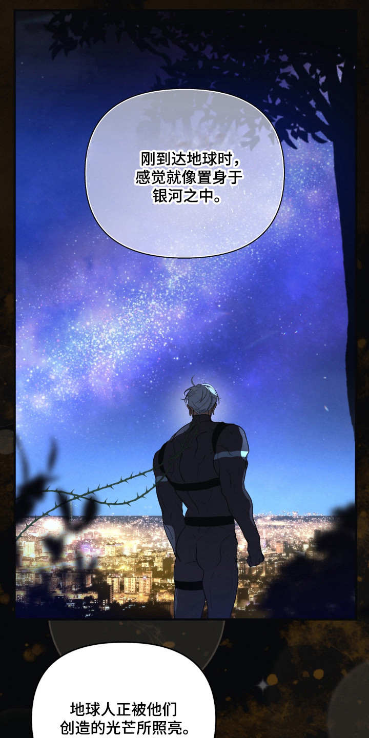 播种才会有收获漫画,第22章：最亮的星星2图