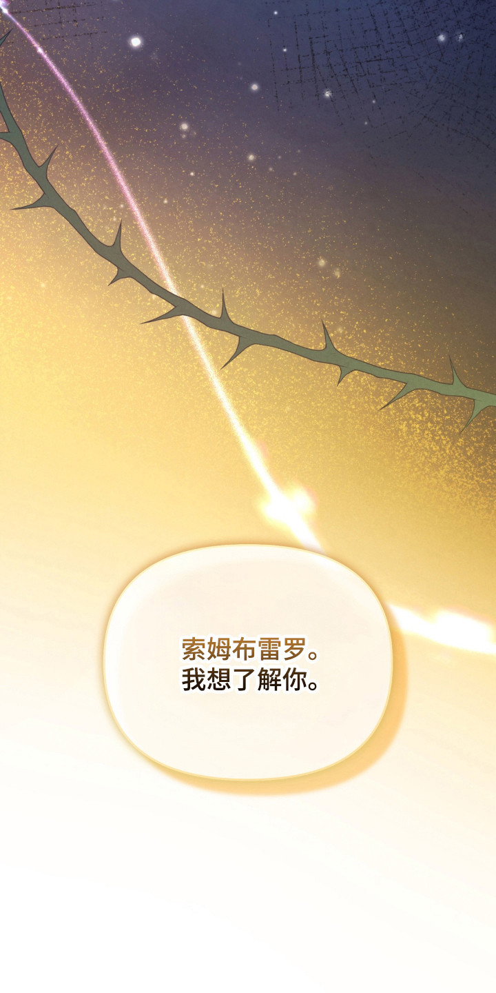 被播种的日子漫画,第22章：最亮的星星2图