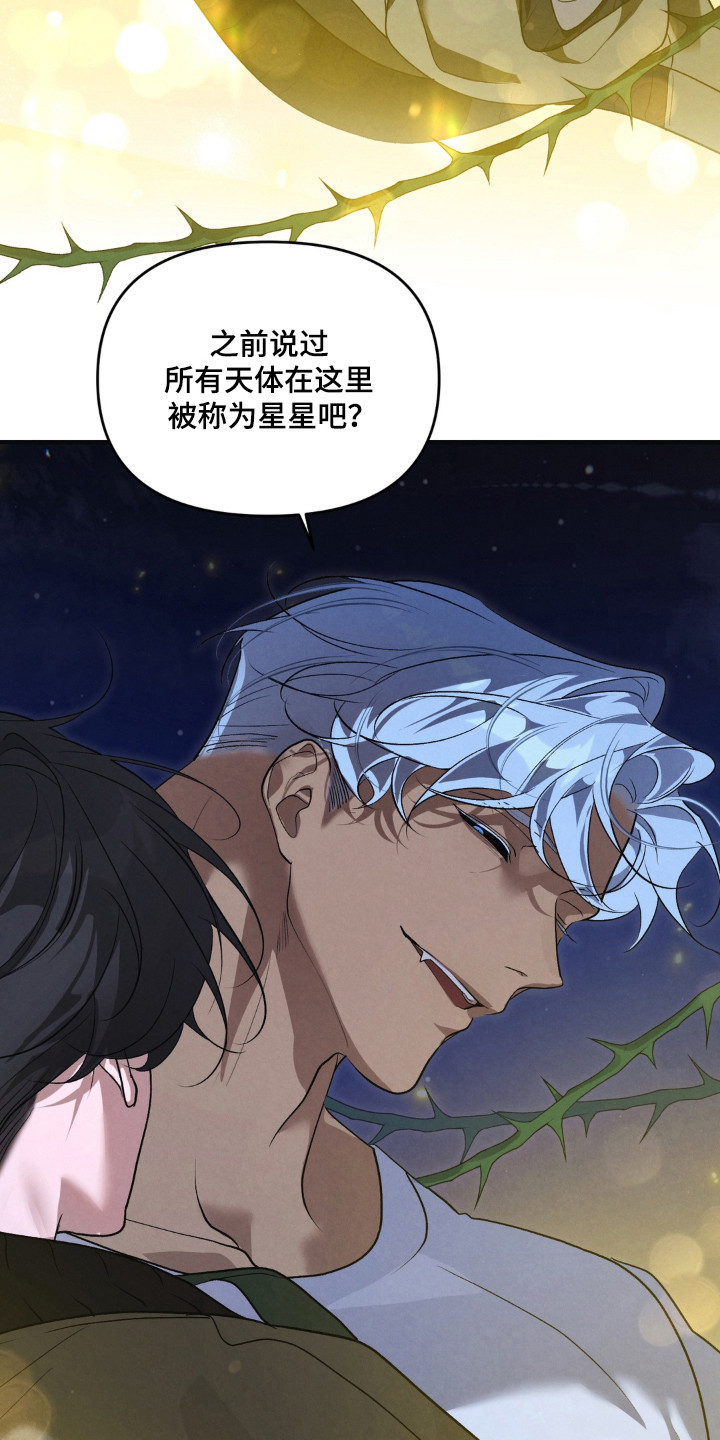 播种才会有收获漫画,第22章：最亮的星星2图