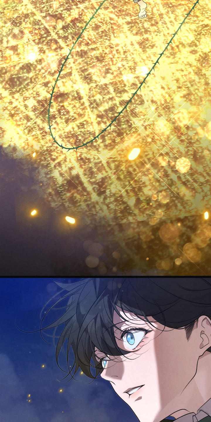 播种才会有收获漫画,第22章：最亮的星星3图
