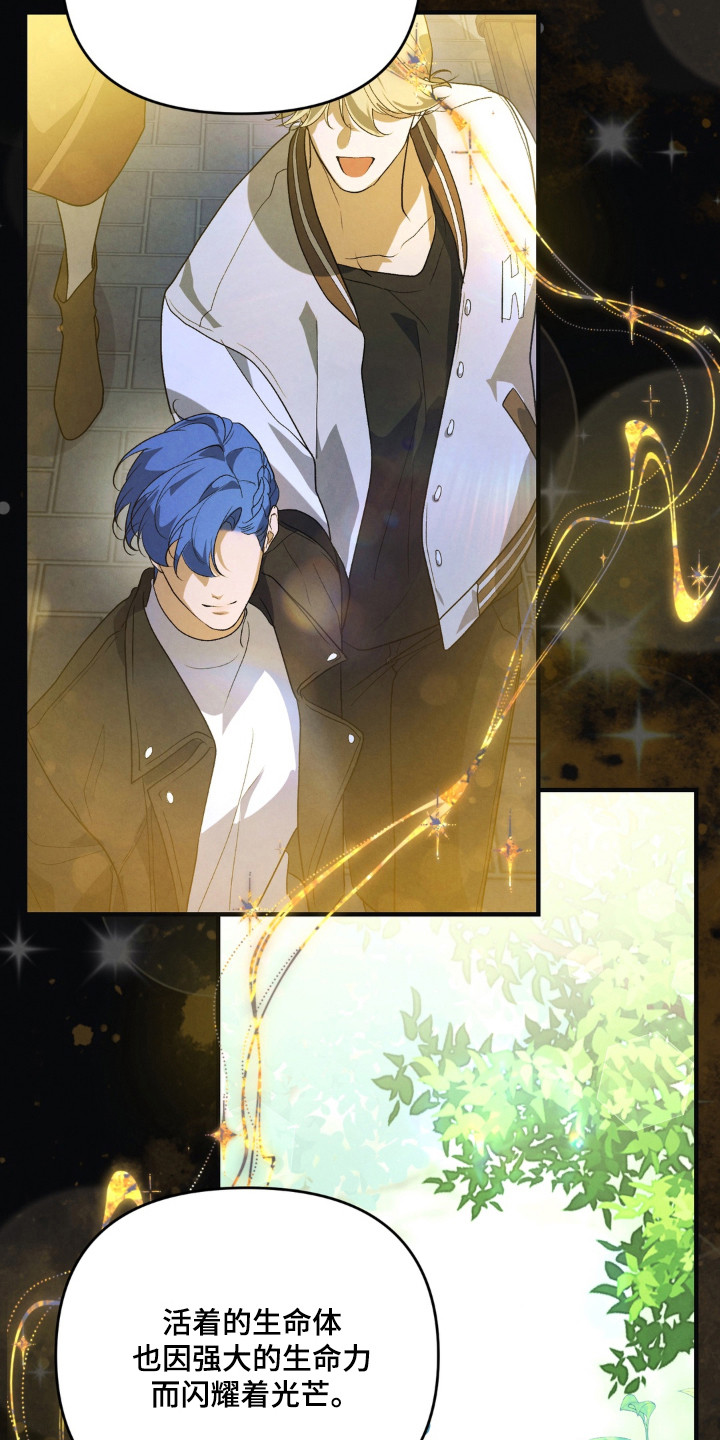 播种才会有收获漫画,第22章：最亮的星星3图