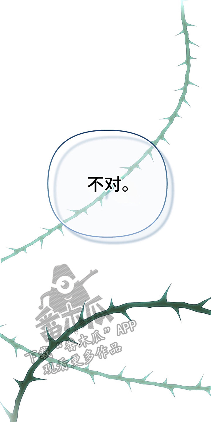 播种才会有收获漫画,第22章：最亮的星星3图