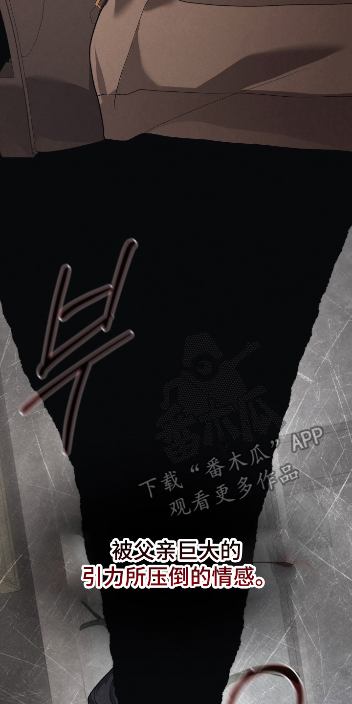 播种才会有收获漫画,第22章：最亮的星星2图