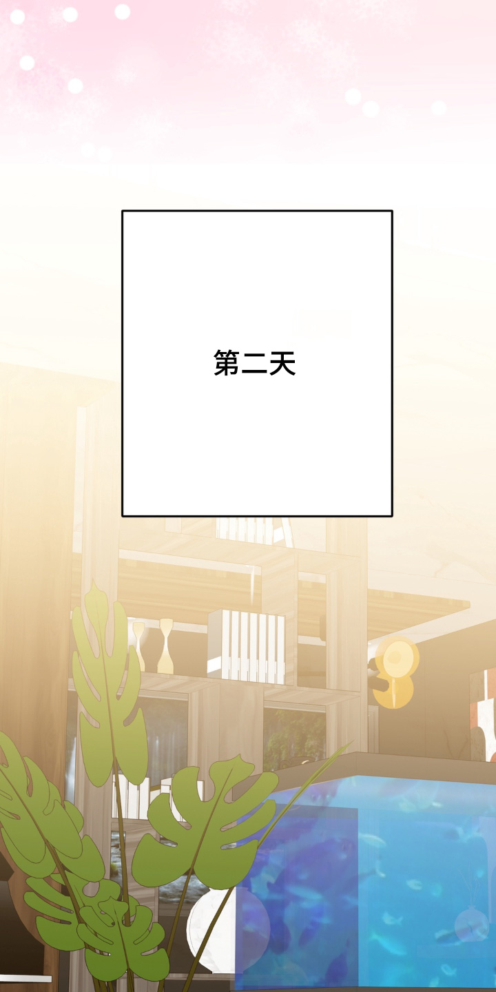 偷心合照漫画,第32章：不用期待1图