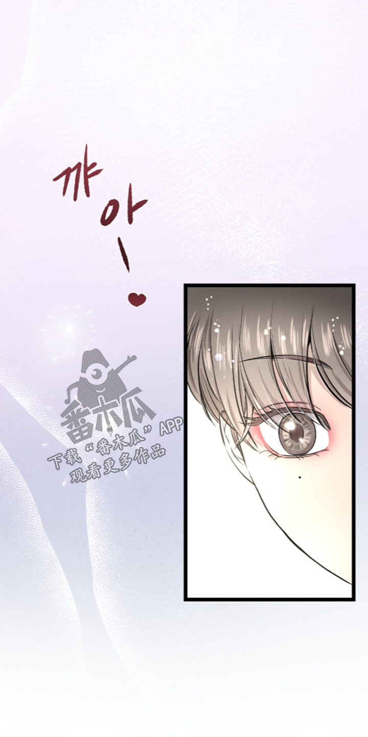 狂夜之共生篇漫画漫画,第33章：我要带走他1图