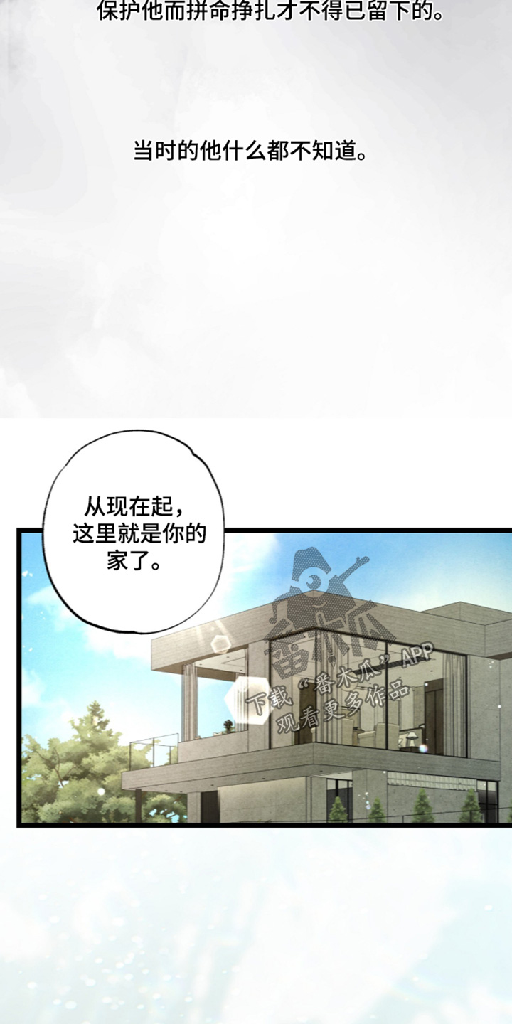 狂夜之共生篇漫画漫画,第33章：我要带走他3图