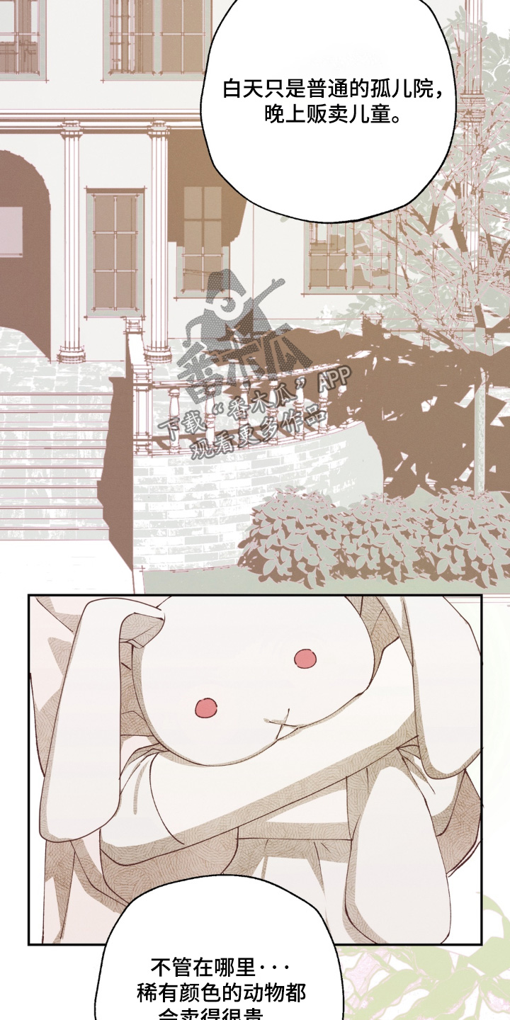 锁链铃铛漫画,第22章：想了解他4图