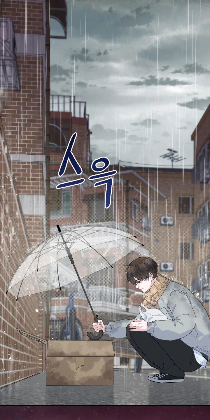 暗香缠身漫画,第23章：你在哪里1图