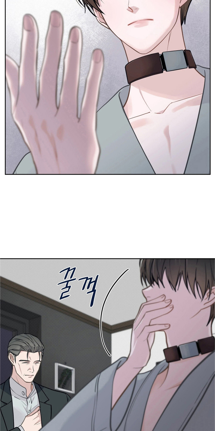 暗香什么意思漫画,第4章：注意事项1图