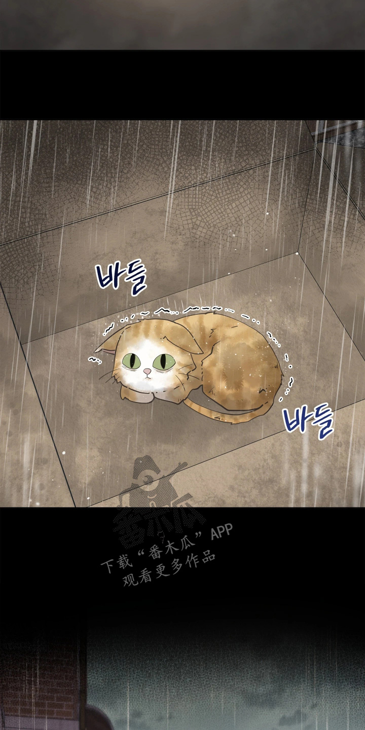 暗香缠身漫画,第23章：你在哪里5图