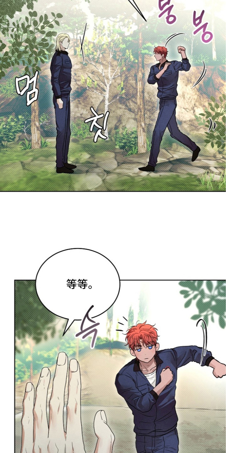 炽热的读音标准漫画,第23章：太便宜了4图
