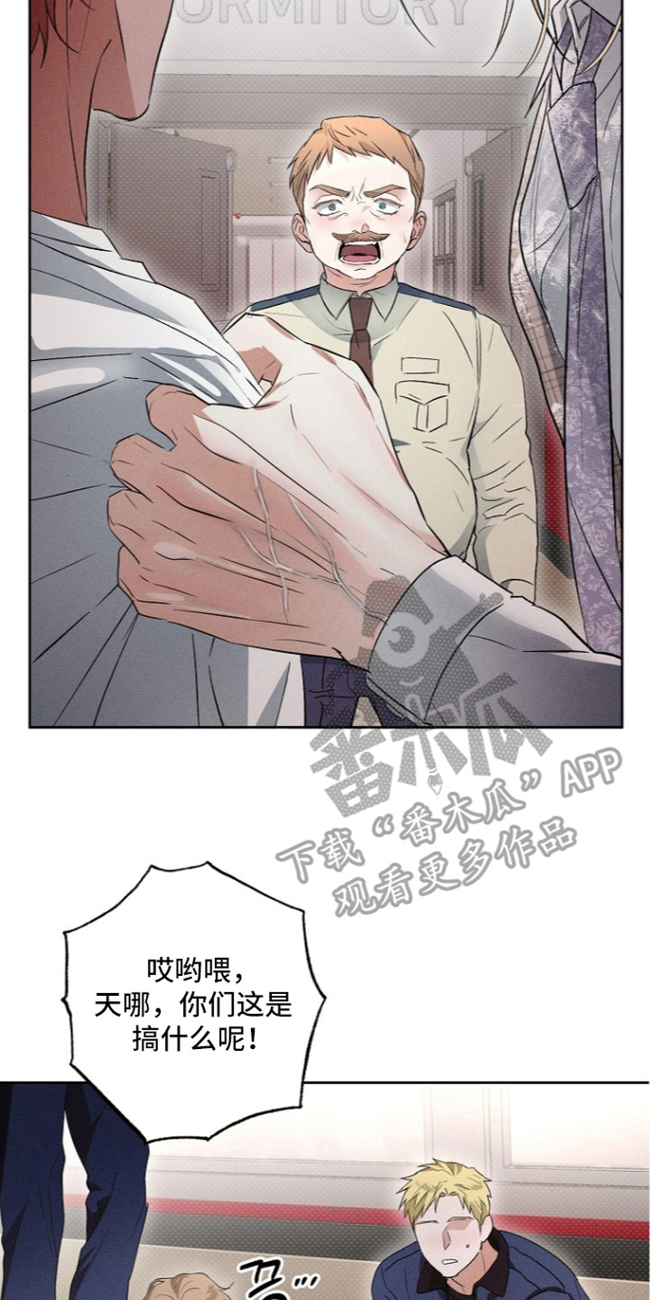 炽热的命定漫画,第10章：劝架2图