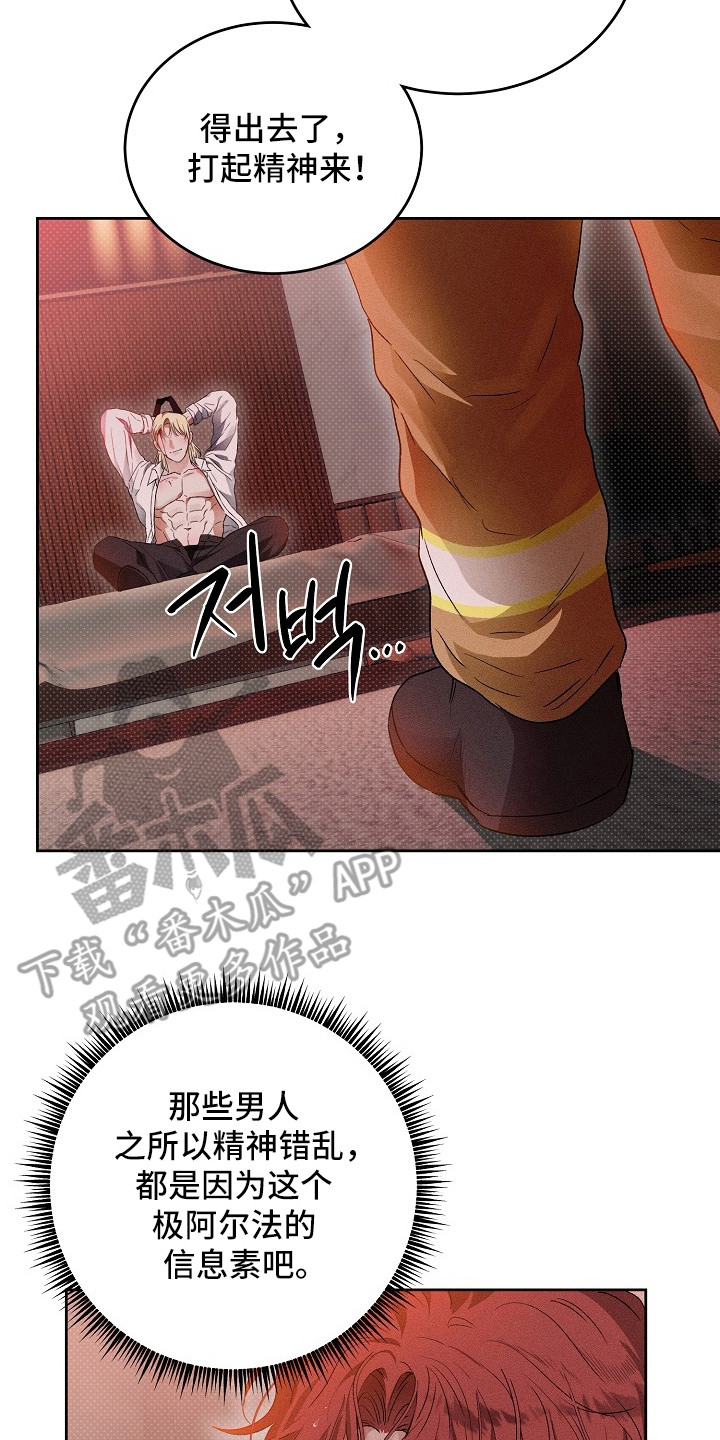 炽热的命定漫画,第4章：疯子5图