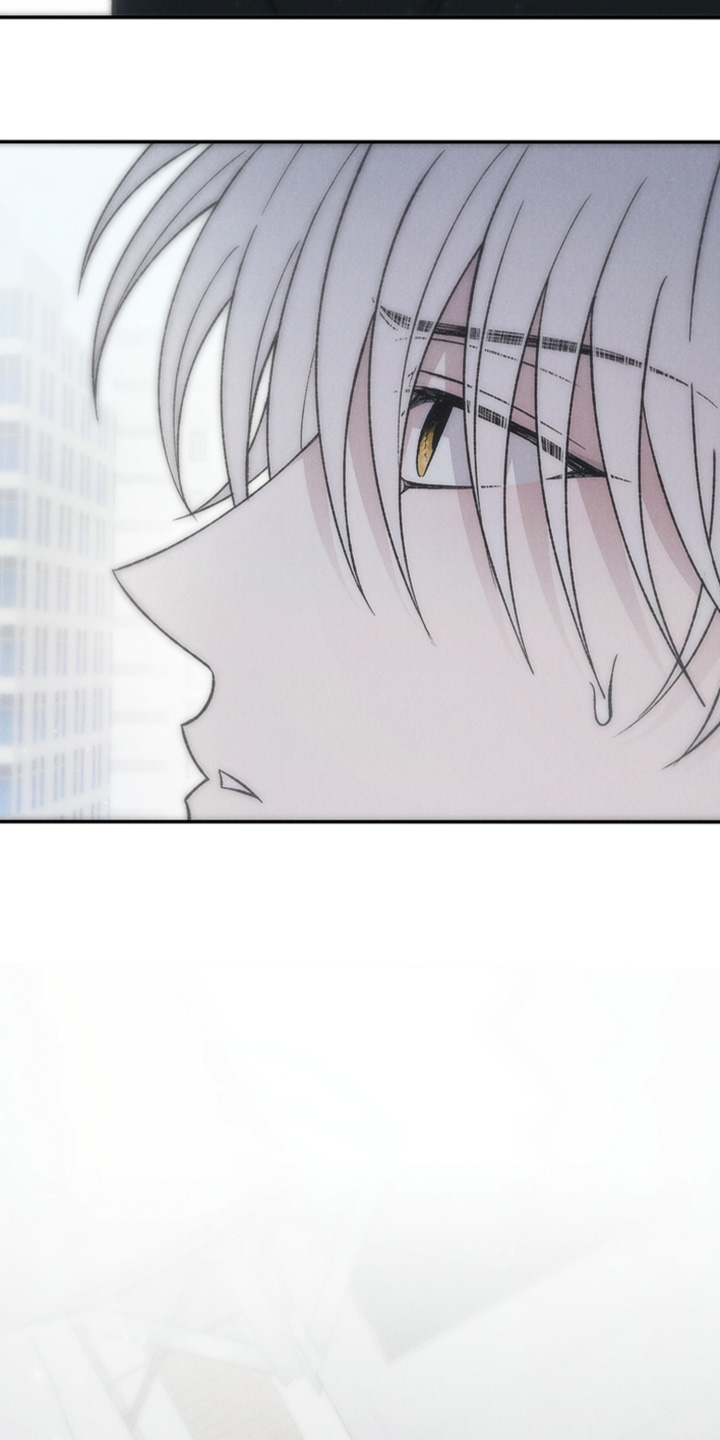 爱后余生漫画,第25章：总算找到了1图