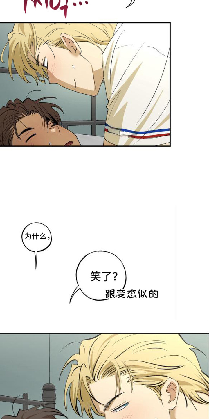 秘密学习指南漫画,第14章：亲热5图