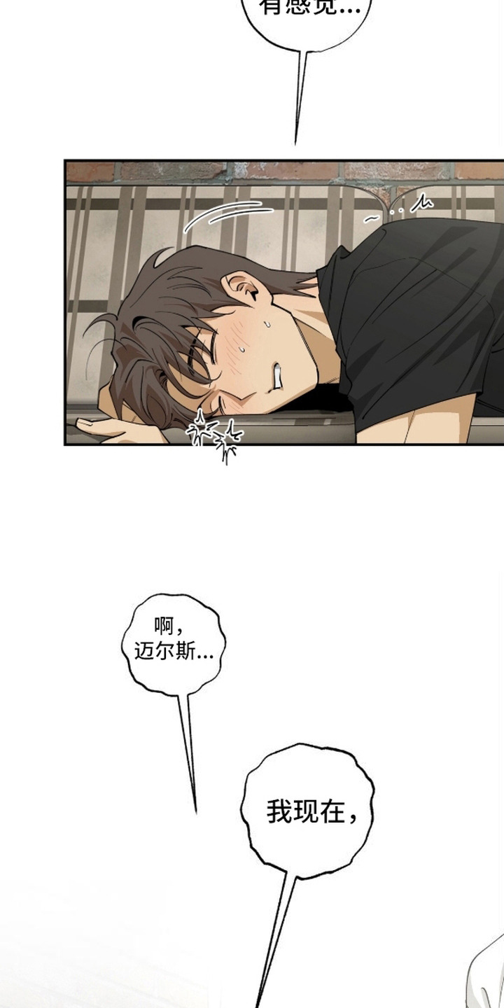 秘密学习指南漫画,第9章：直接来4图