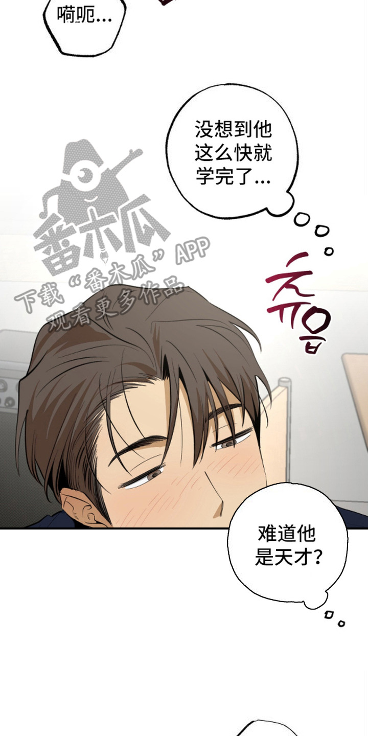 秘密学习指南漫画,第12章：集中注意力4图