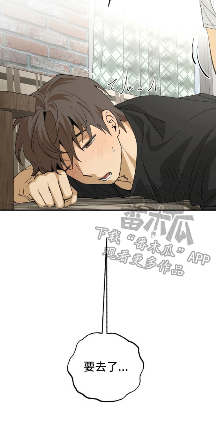 秘密学习指南漫画,第9章：直接来5图