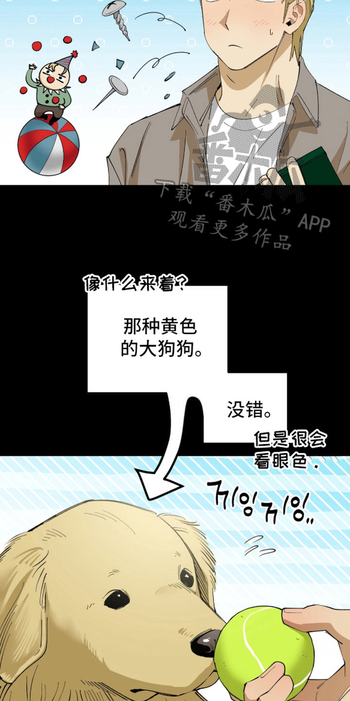 秘密学习指南漫画,第11章：视线4图