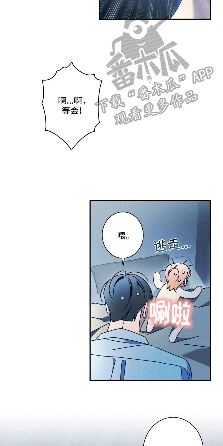 画不出的爱漫画,第9章：做准备3图