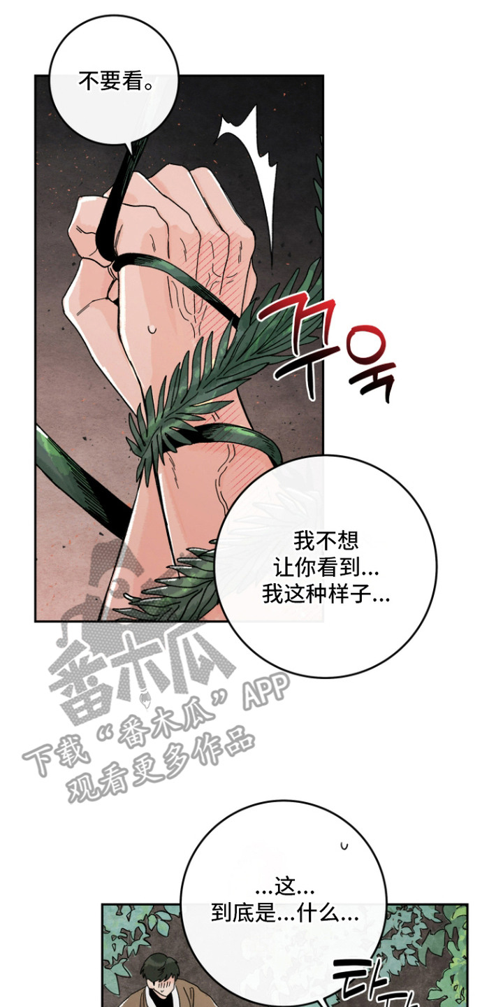 菜园情事漫画,第9章：计划3图