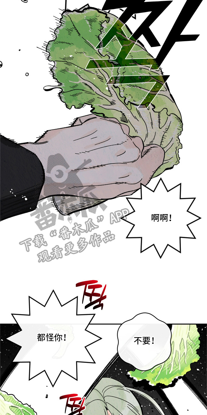 菜园情事漫画,第7章：农药3图