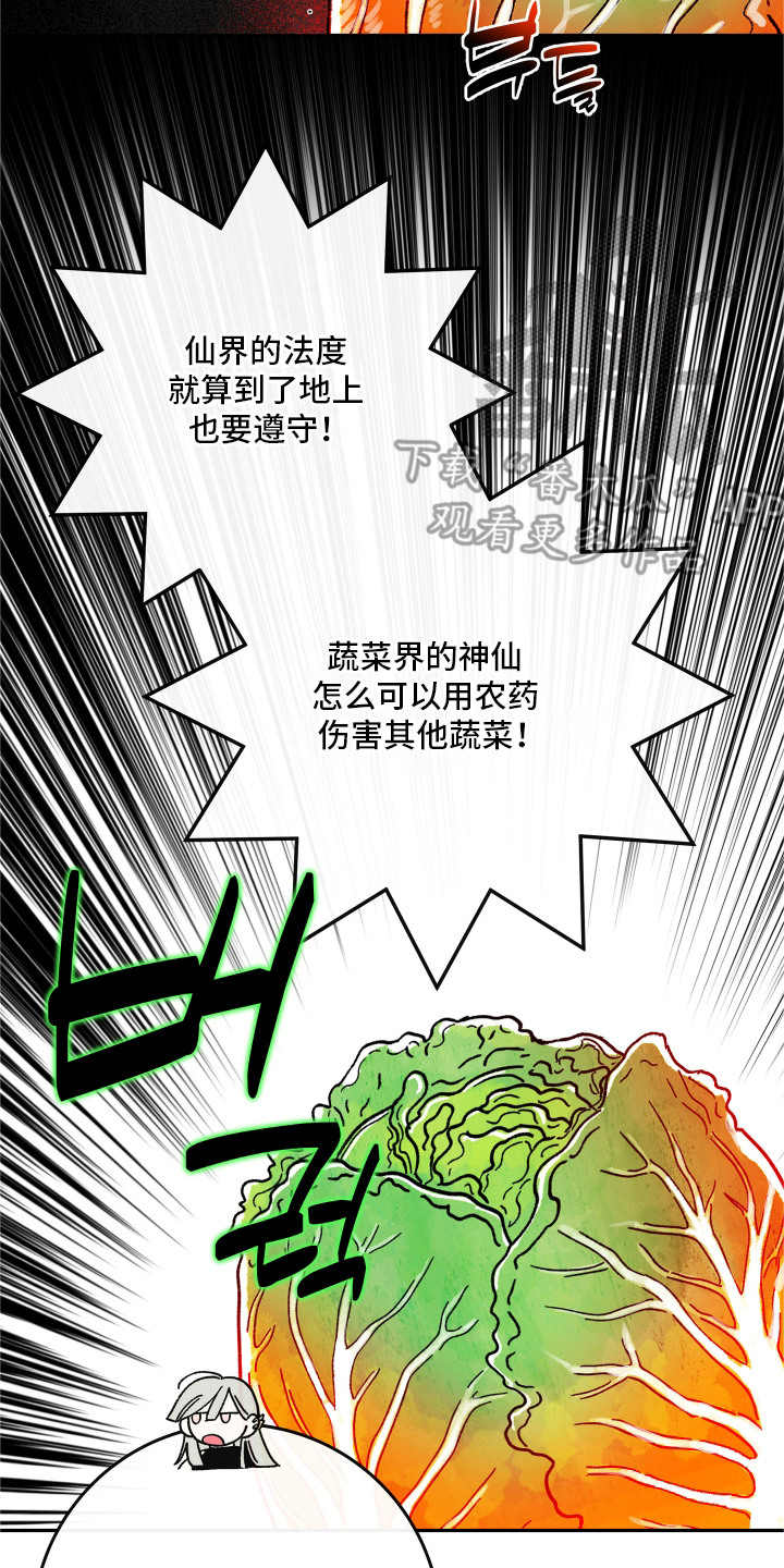 菜园情事漫画,第7章：农药4图