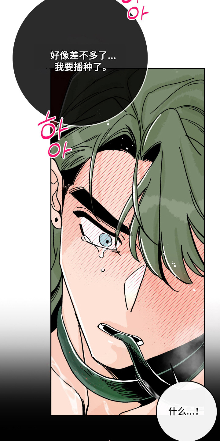 菜园情事漫画,第8章：孢子1图