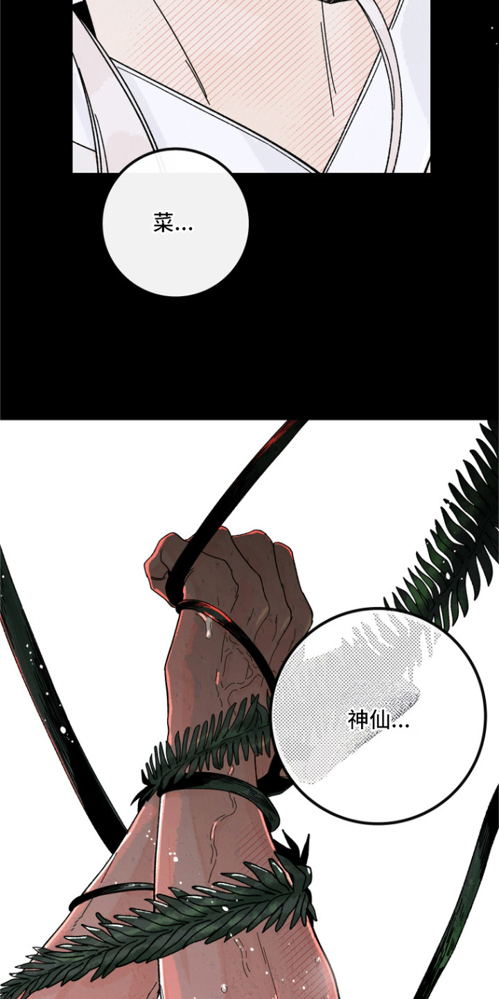 菜园情事漫画,第9章：计划1图