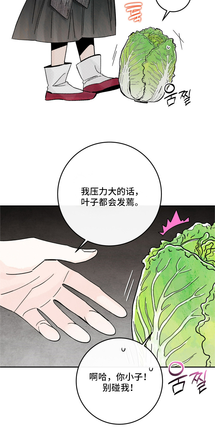 菜园情事漫画,第7章：农药1图