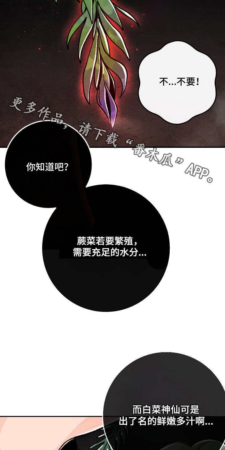 菜园情事漫画,第8章：孢子4图