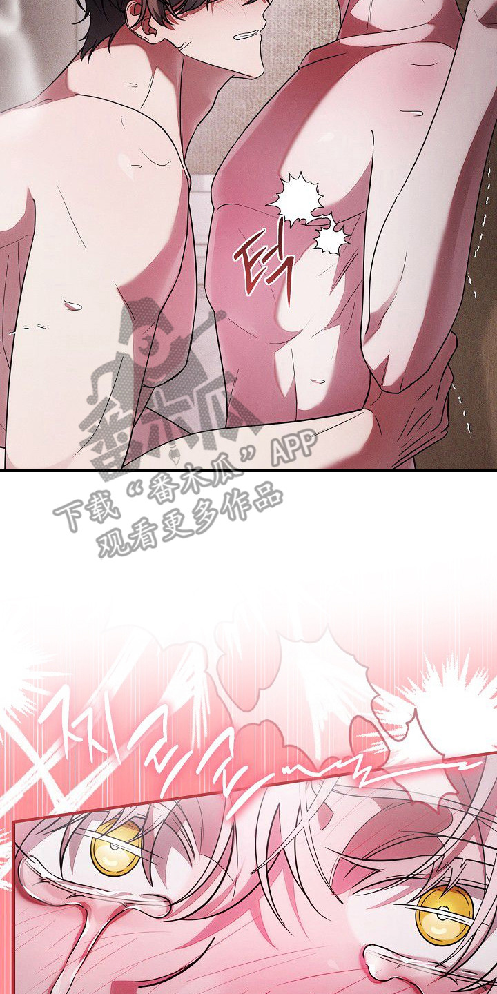 雏儿陷阱漫画,第21章：节奏5图