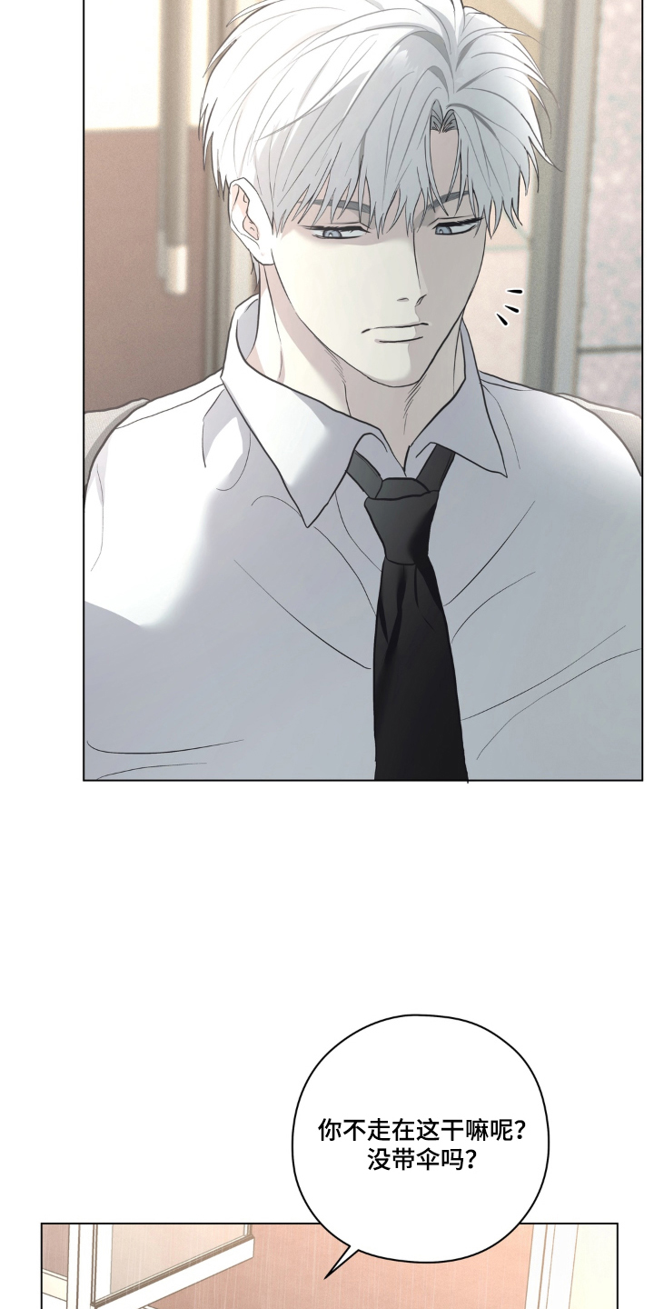 非人之恋电影在线看漫画,第5章：同一把伞4图