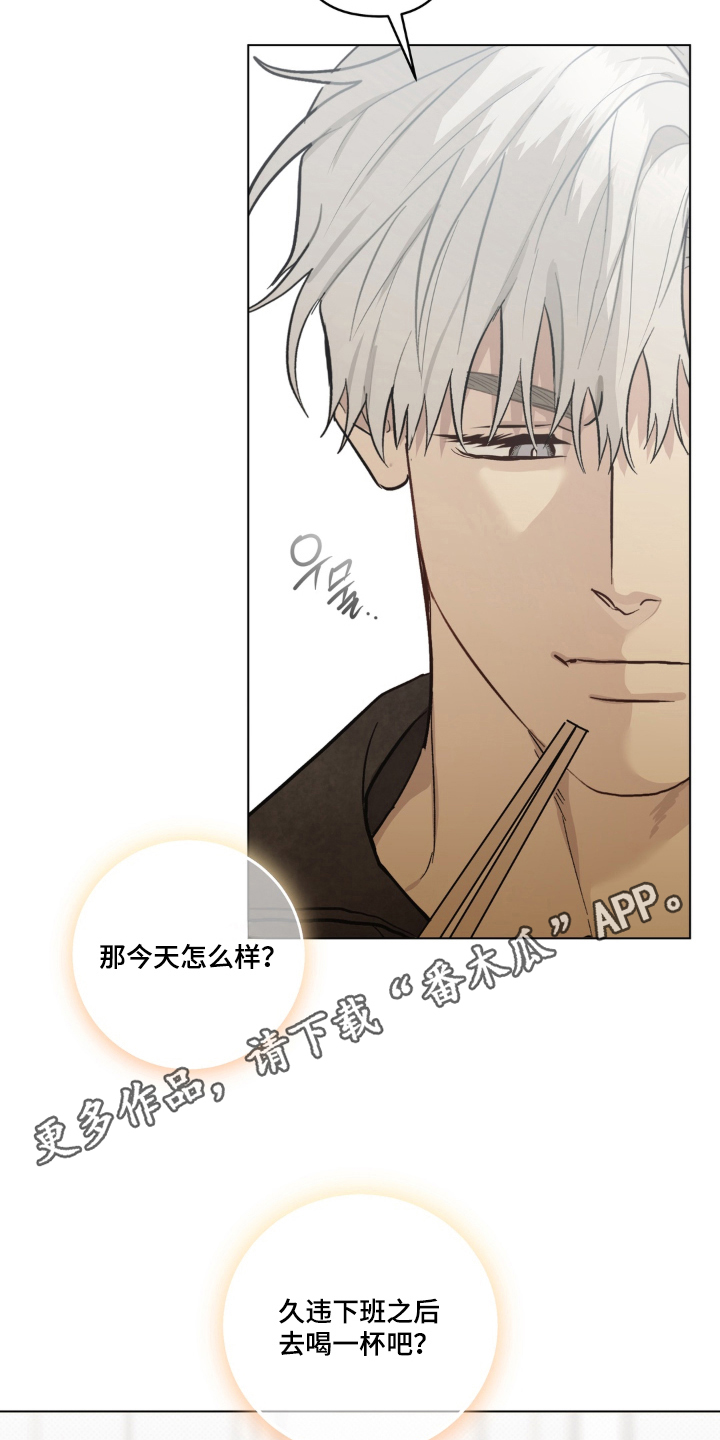 非人之恋电影在线看漫画,第11章：一起喝酒5图