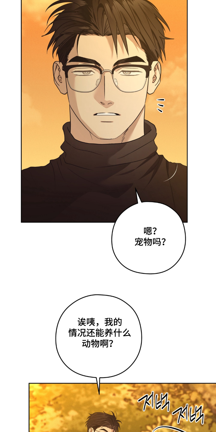 非人之恋漫画,第15章：养什么宠物了3图