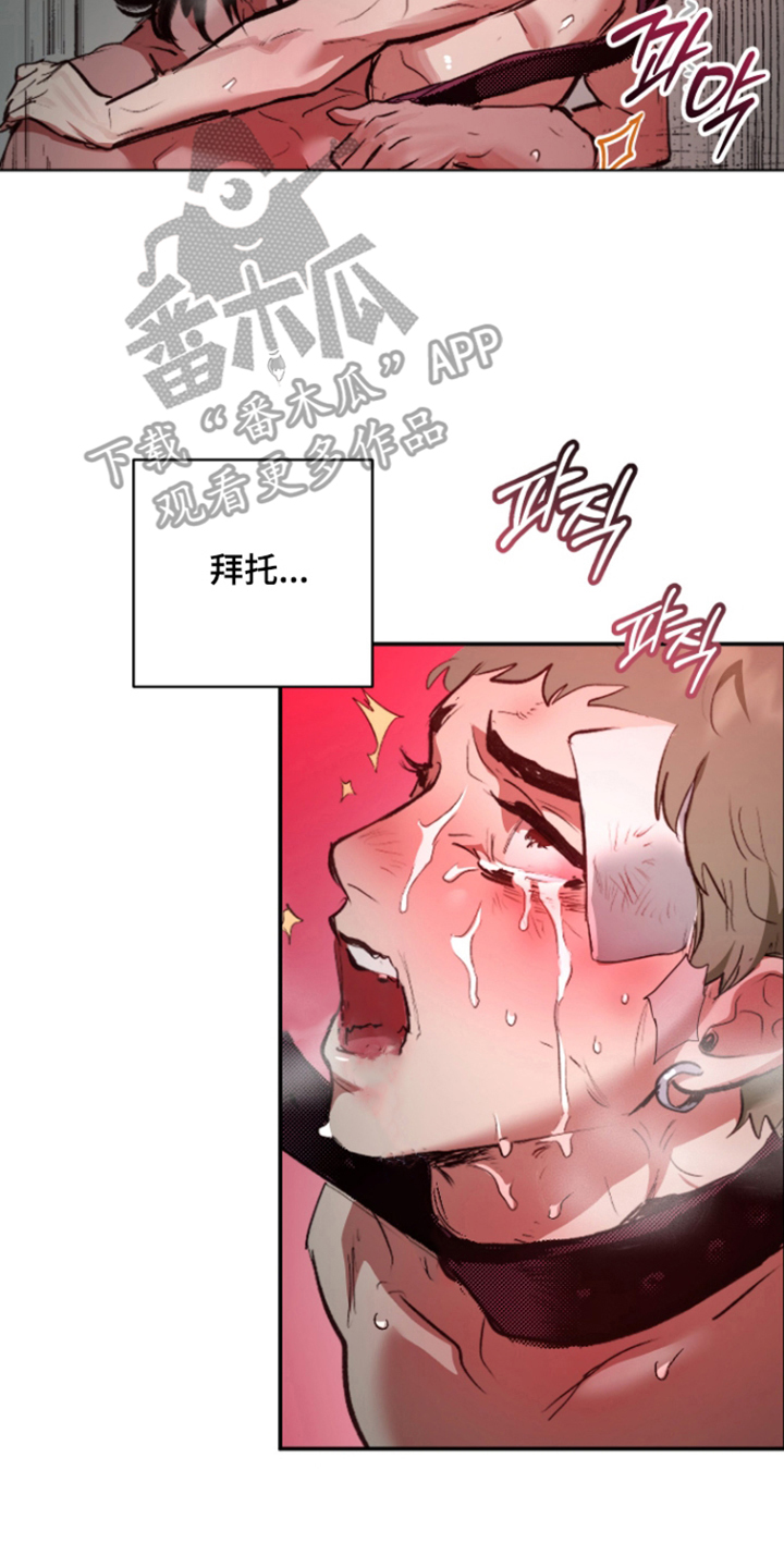 门后的陌生人漫画,第5章：养你5图