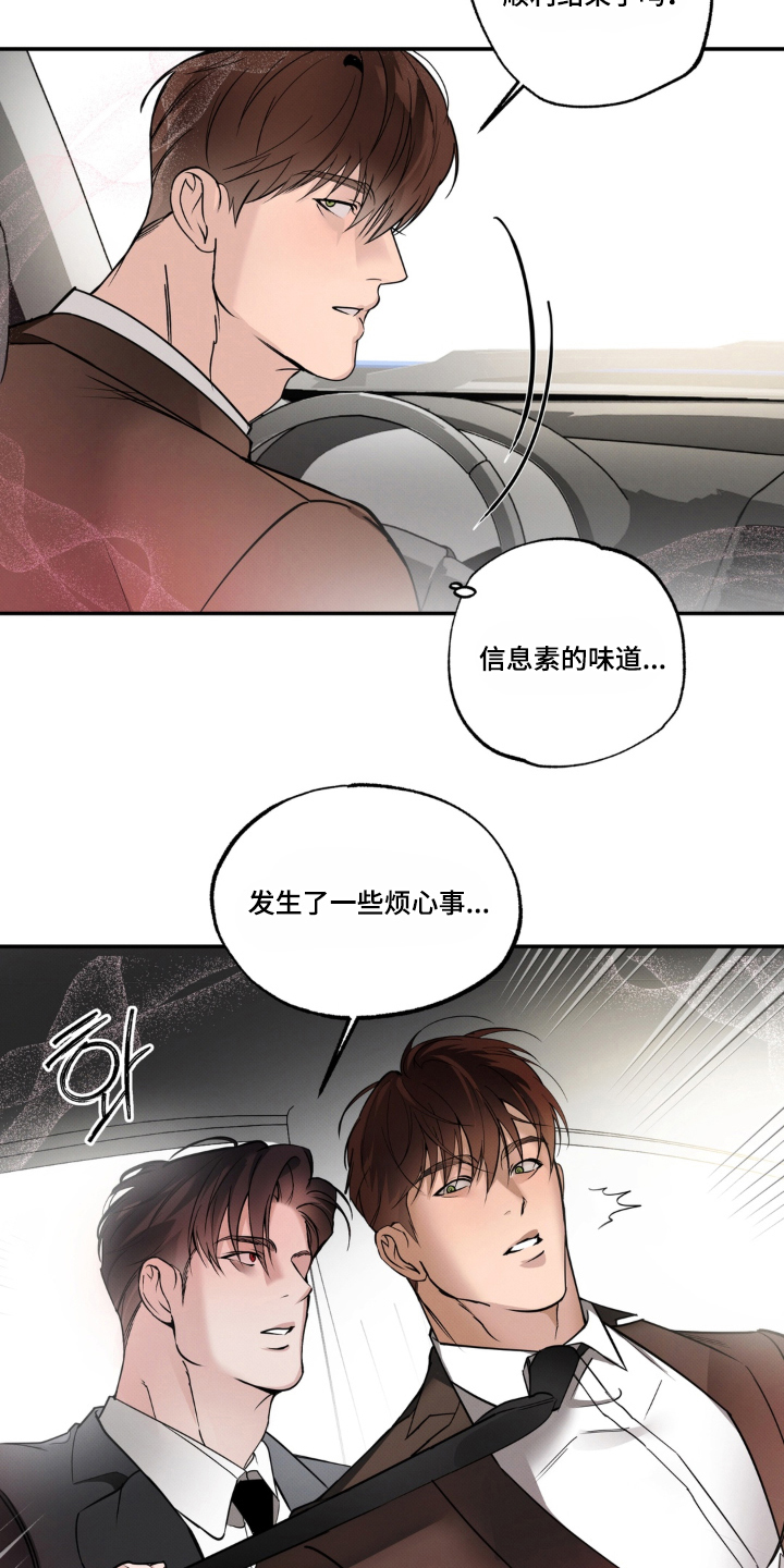 伪装阿尔法漫画,第4章：过来5图