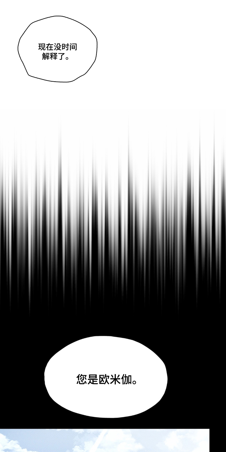 伪装阿尔法漫画,第1章：检测结果5图