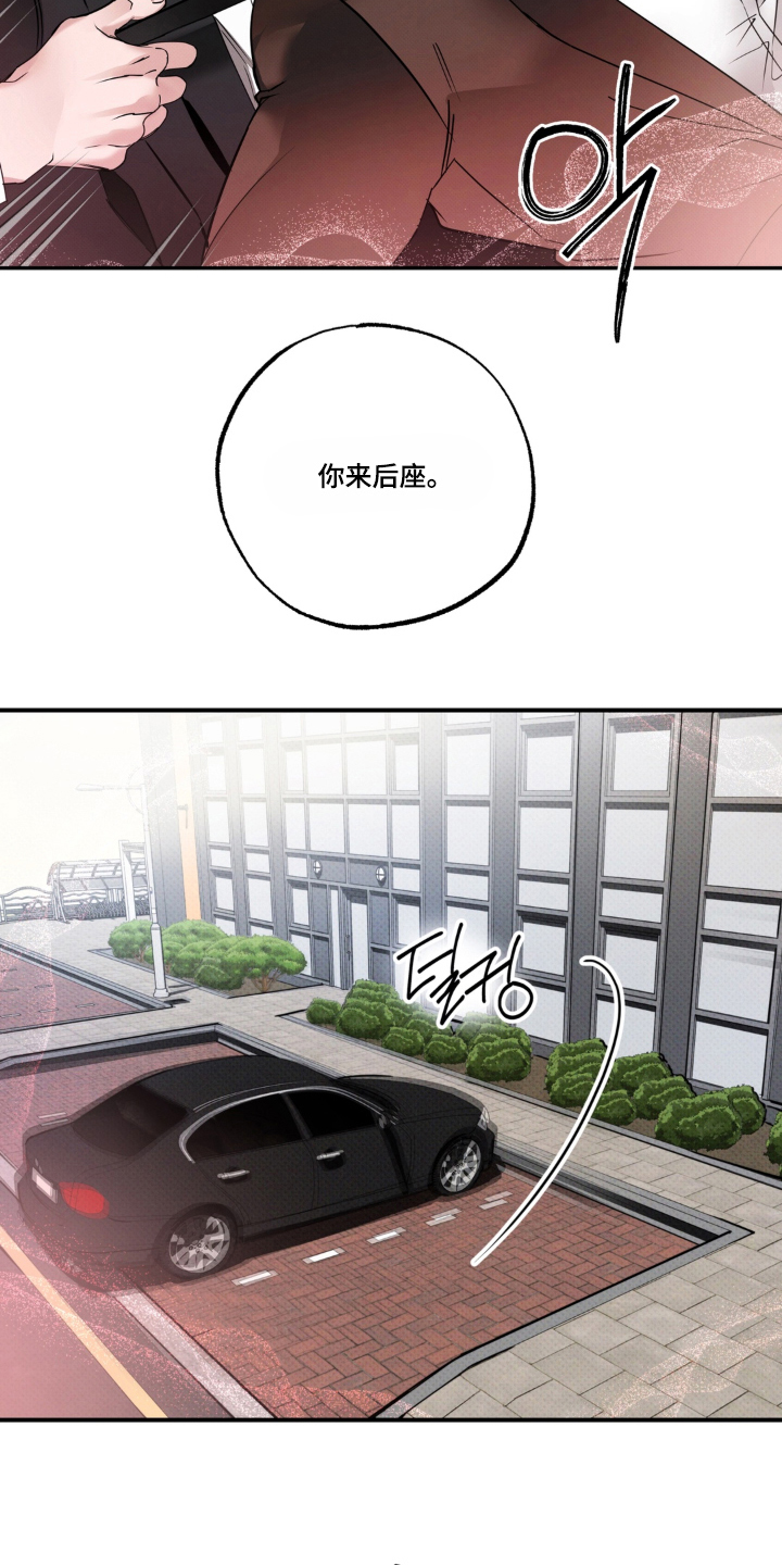 伪装阿尔法漫画,第4章：过来1图