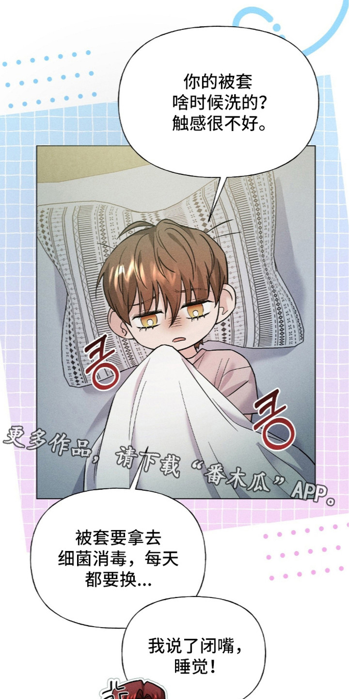 旧夫新约漫画,第10章：日渐平静4图
