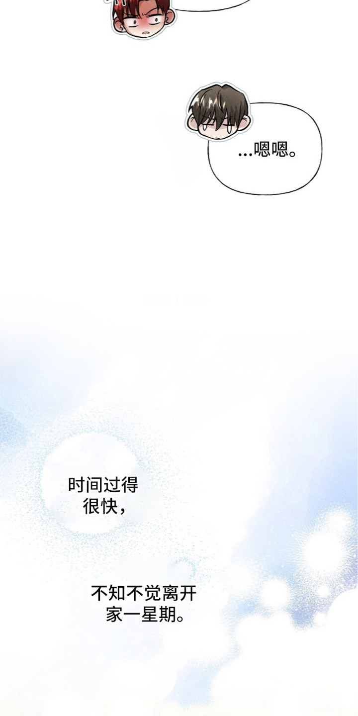 旧夫新约漫画,第10章：日渐平静5图