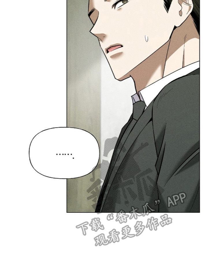 旧夫新约漫画,第15章：合照1图
