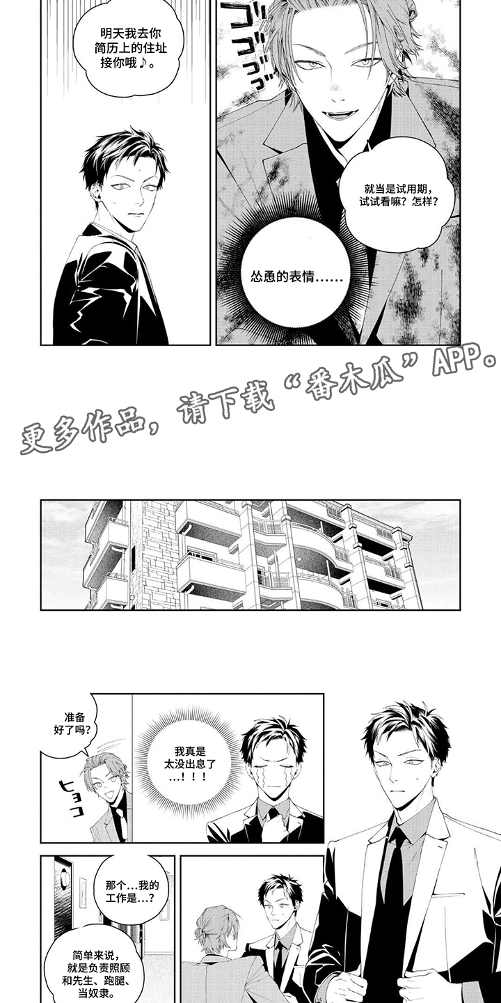 少主请别生气漫画,第1章：试用期1图