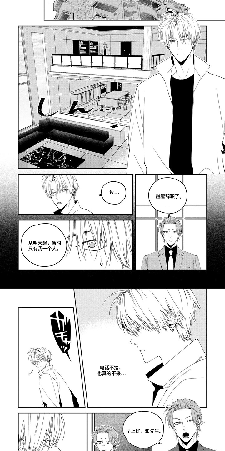 少主请别生气漫画,第12章：老板的电话5图